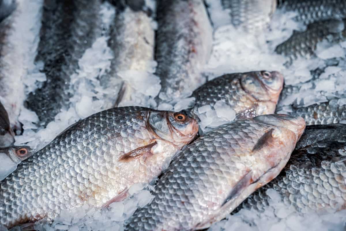donde comprar pescados en línea