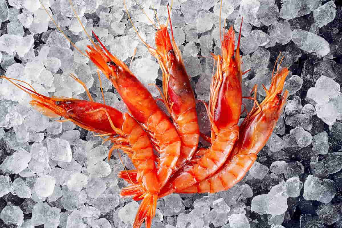 mariscos a domicilio