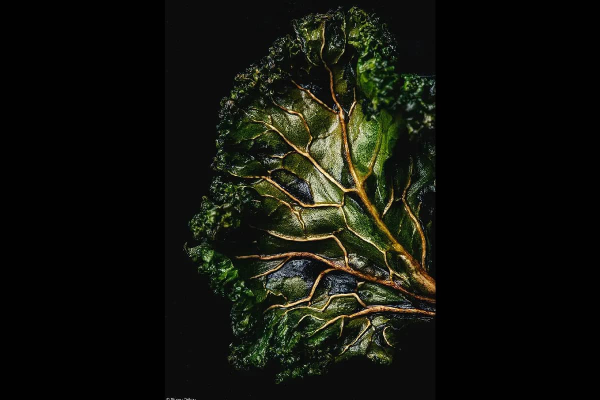 World Food Photography Awards 