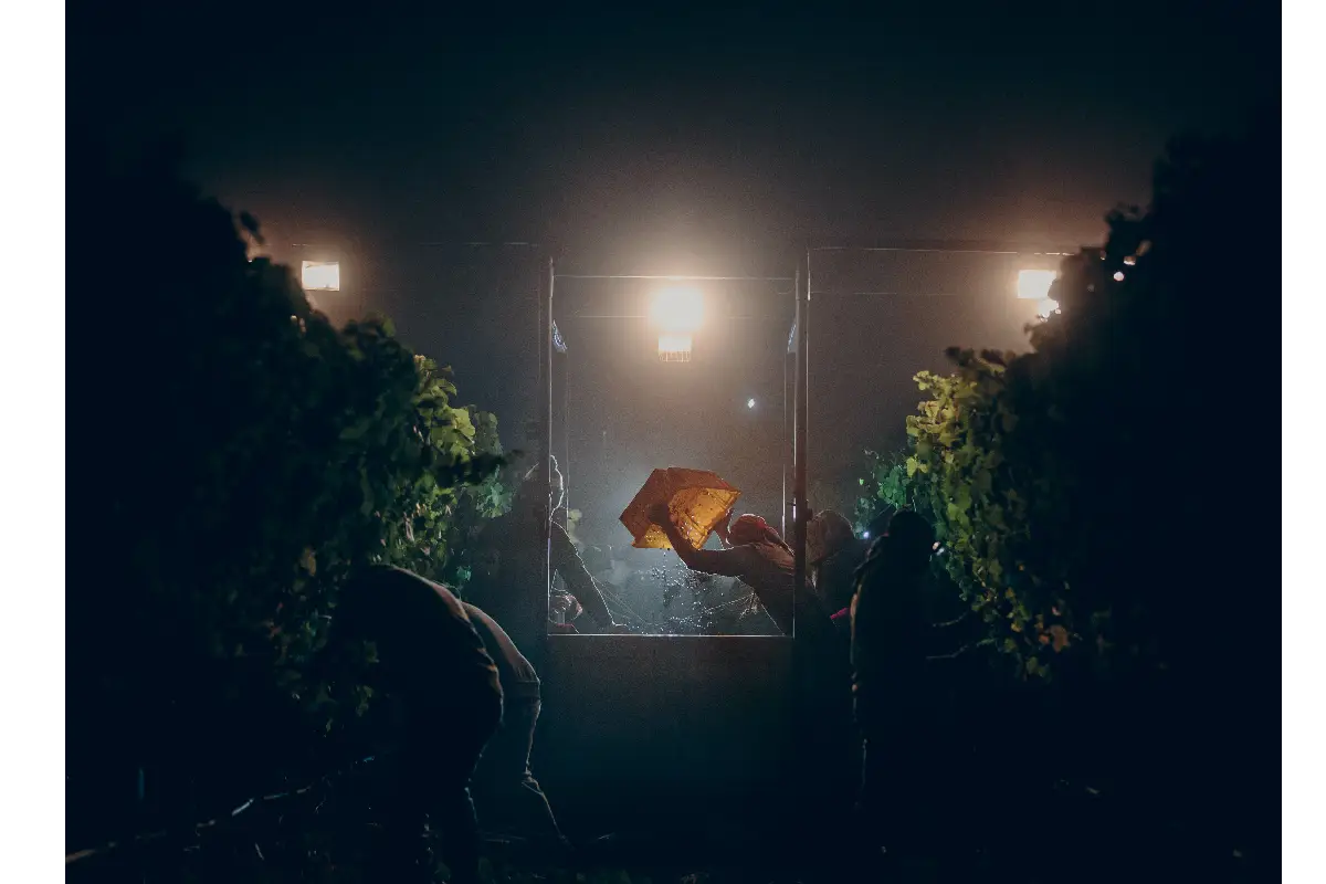 Foto: World Food Photography Awards 