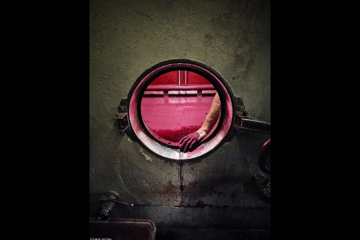 World Food Photography Awards