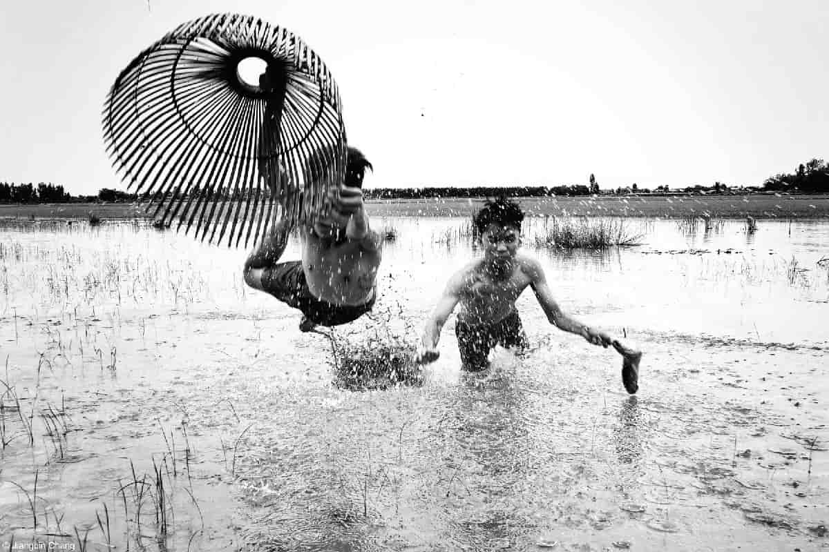 World Food Photography Awards 