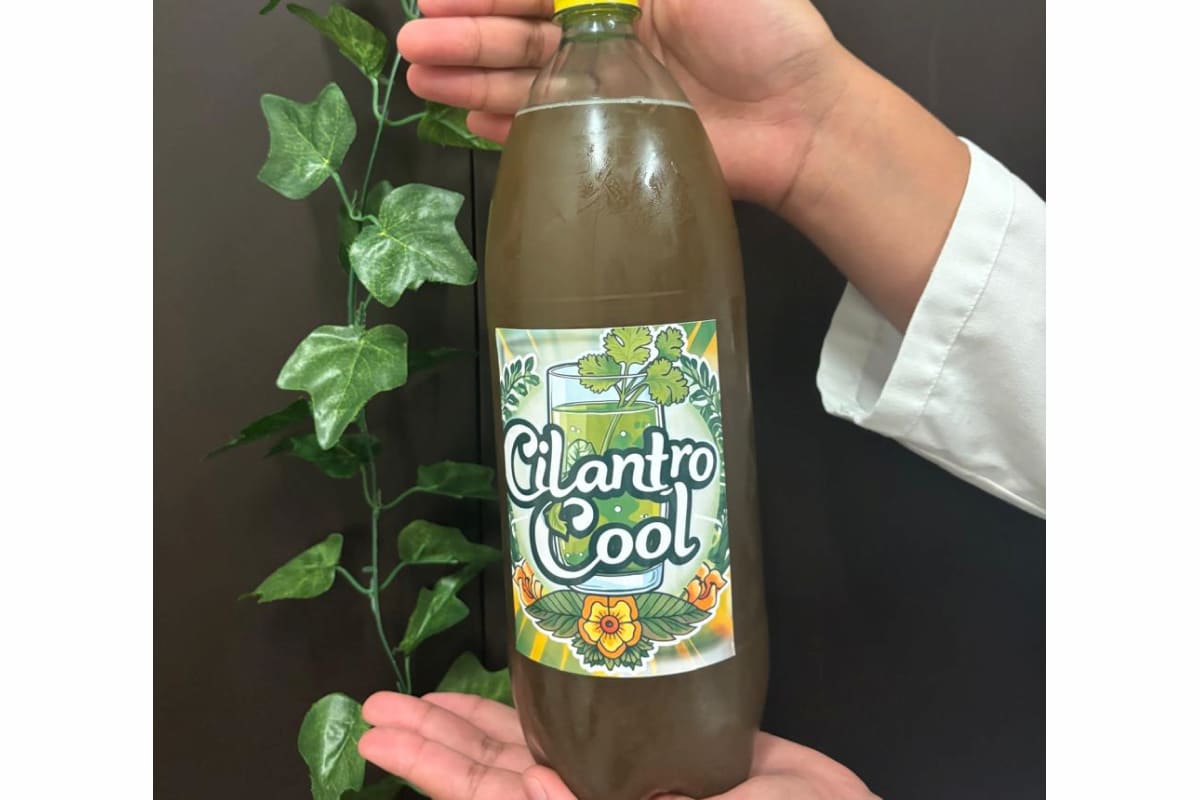 estudiantes mexicanos inventan refresco de cilantro