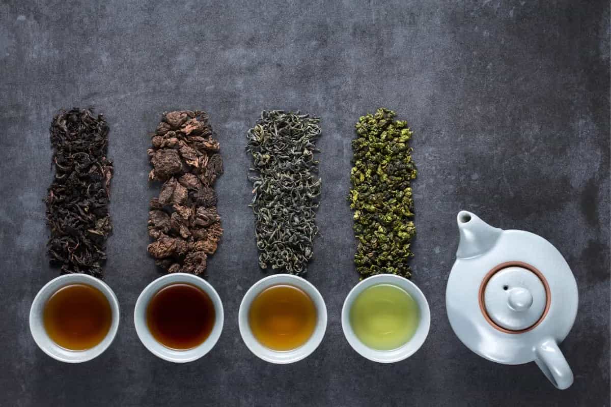 diferentes tipos de té y sus beneficios