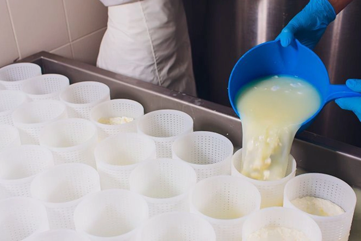 ¿Qué es el cuajo del queso y para qué sirve?