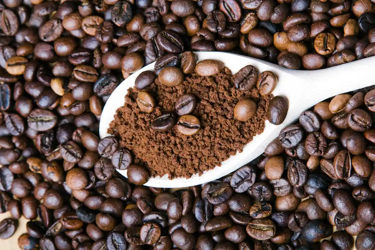 Café de grano