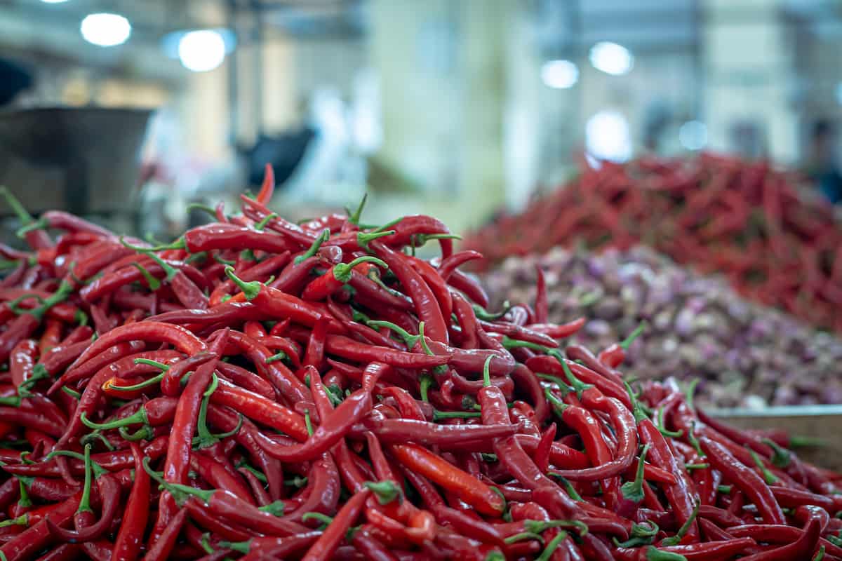 productos mexicanos que se exportan 