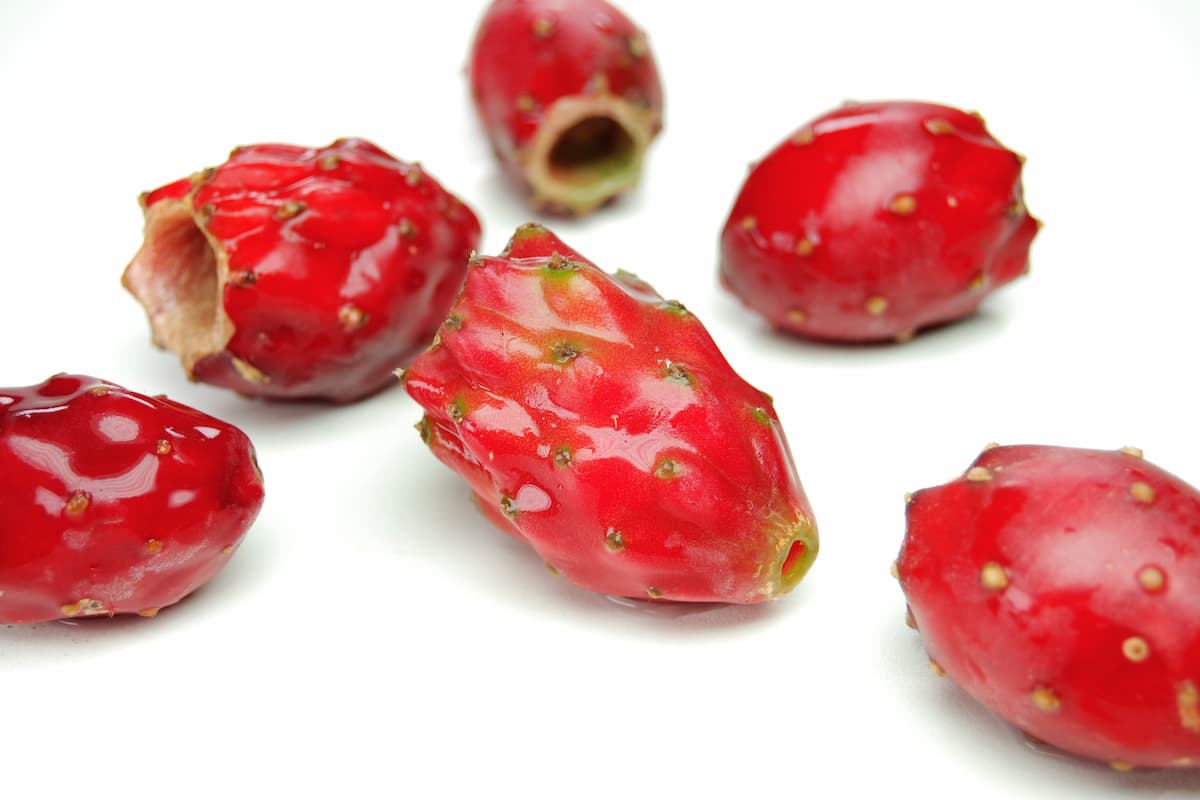 cómo preparar el colonche 