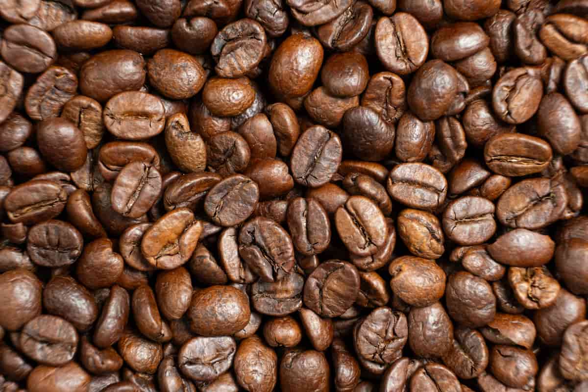 cómo llegó el café a México