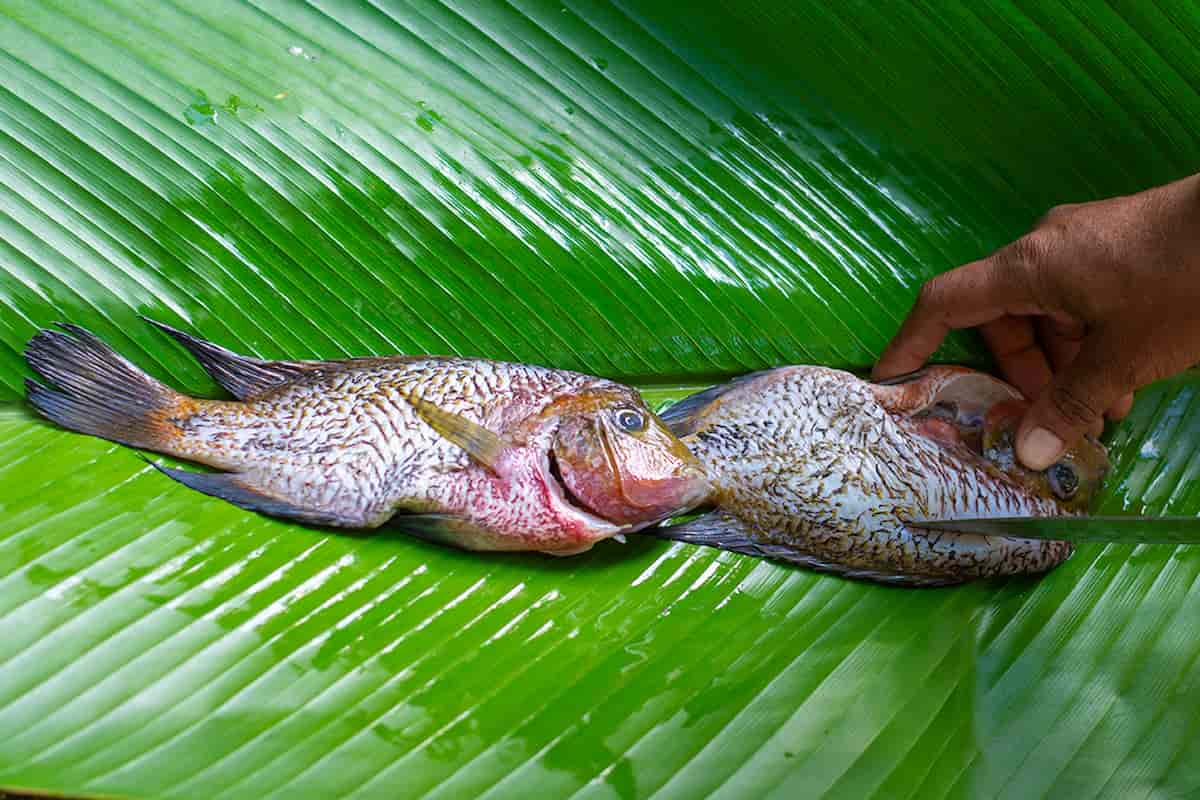 cómo se hace el tamal de mojarra