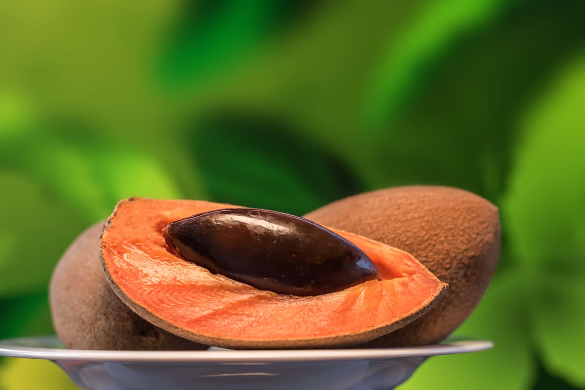 que es el mamey 