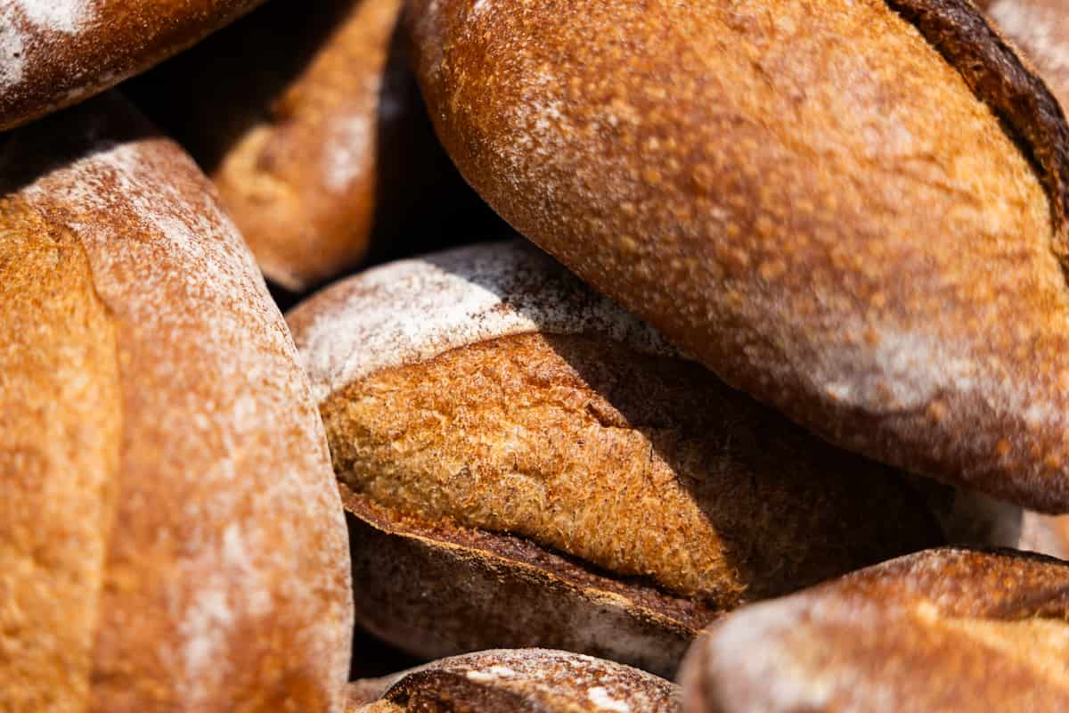 comer insectos puede ser una solución para tu cuerpo y el planeta