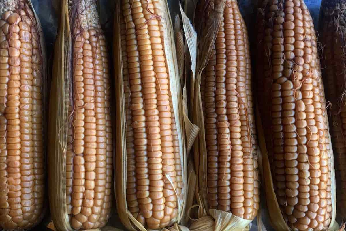 platillos típicos de Yucatán