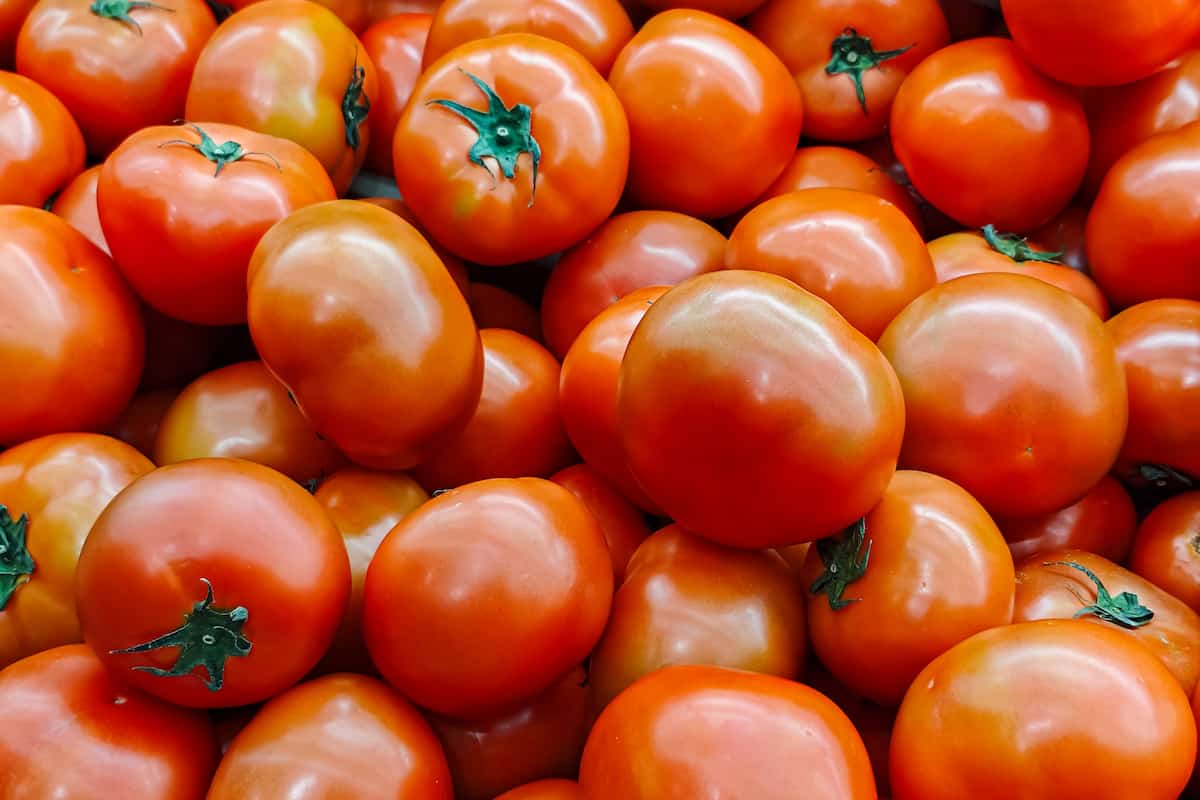 productos mexicanos reconocidos a nivel mundial