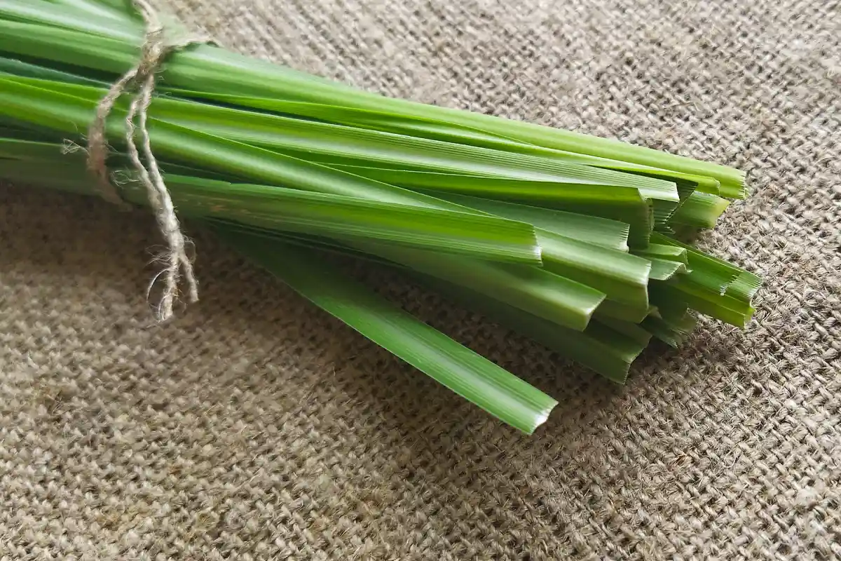 Beneficios del té de limón