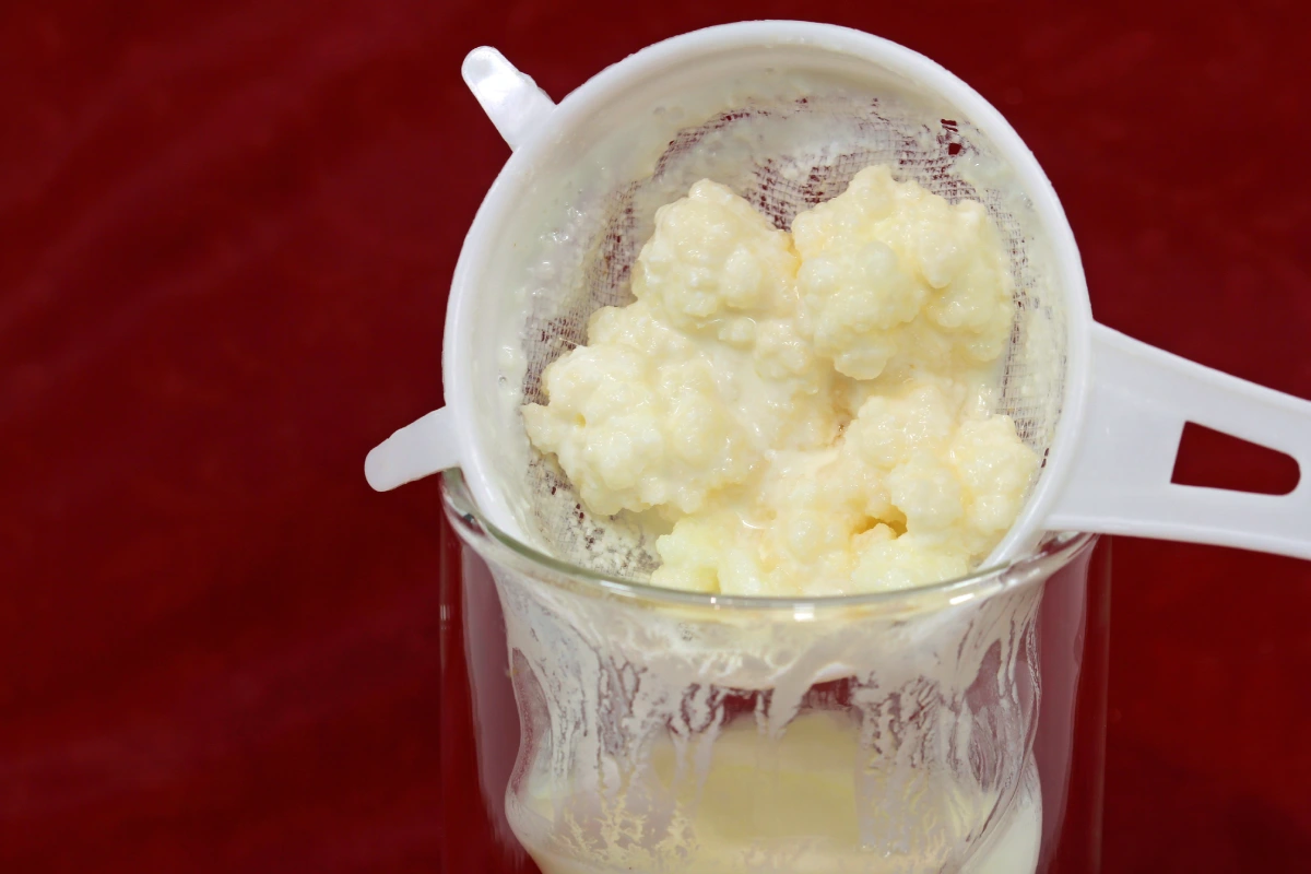 Cómo hacer búlgaros de leche