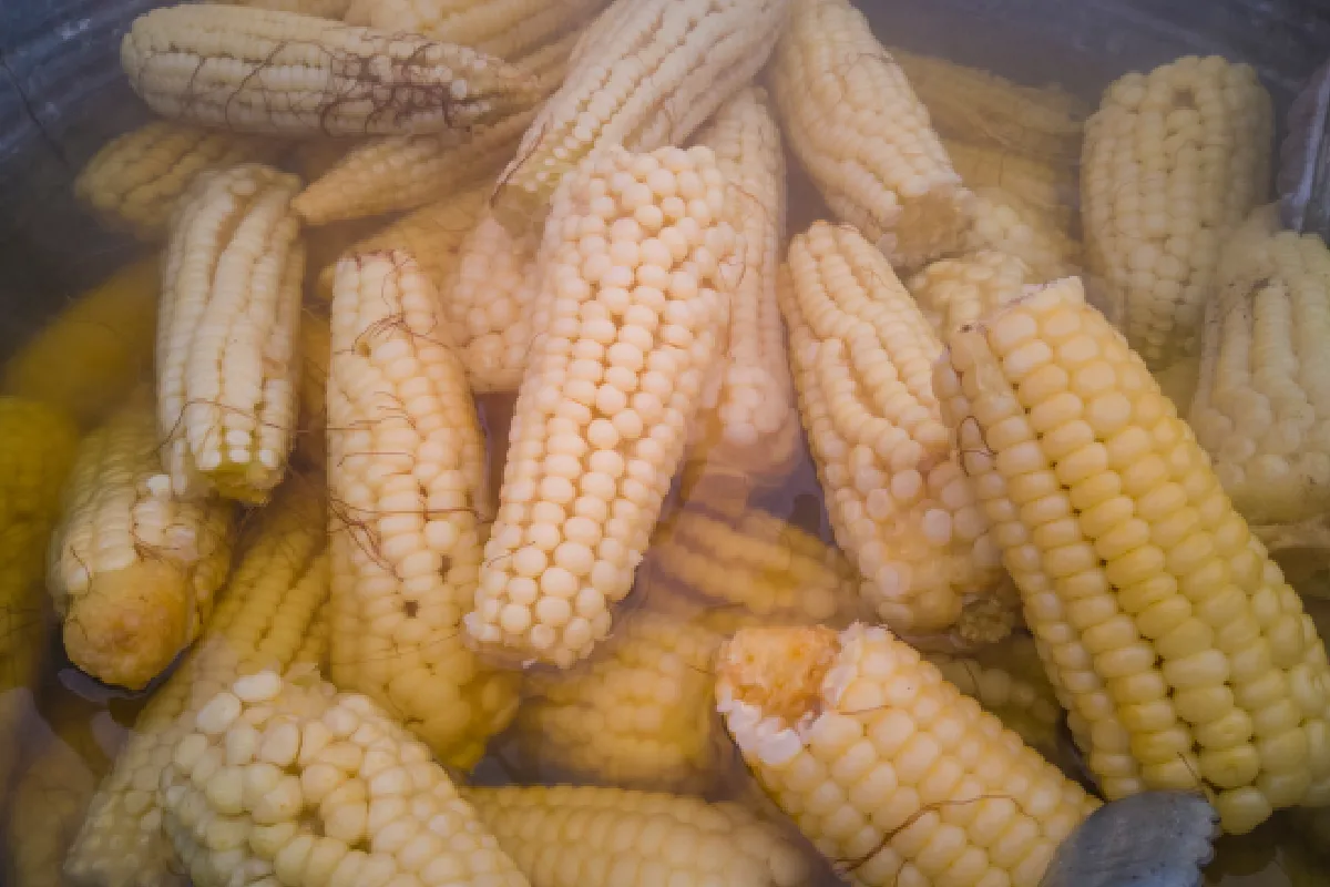 Elotes hervidos