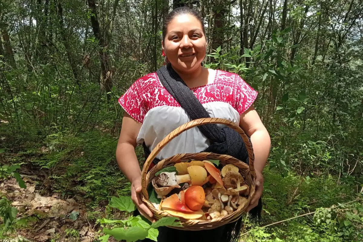 Nanakatera, mujer recolectora de hongos