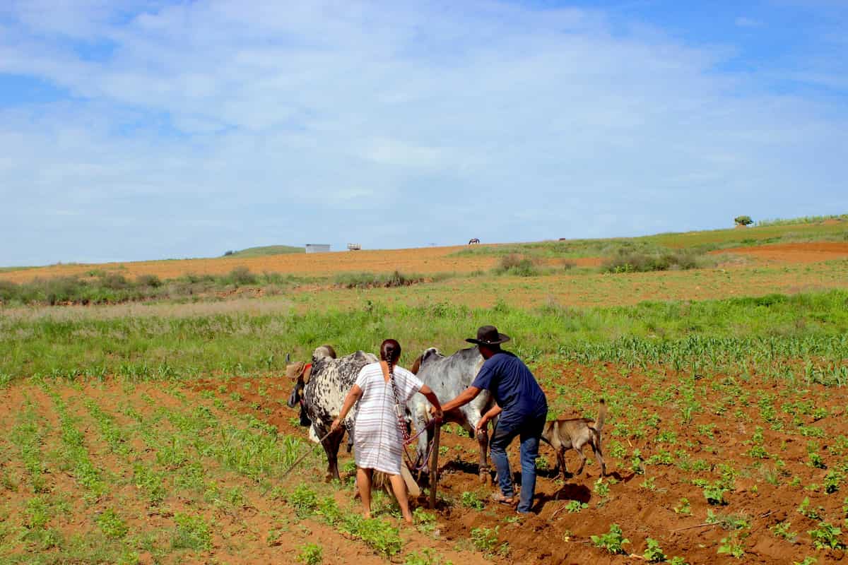 chef Olga Cabrera Tierra del Sol