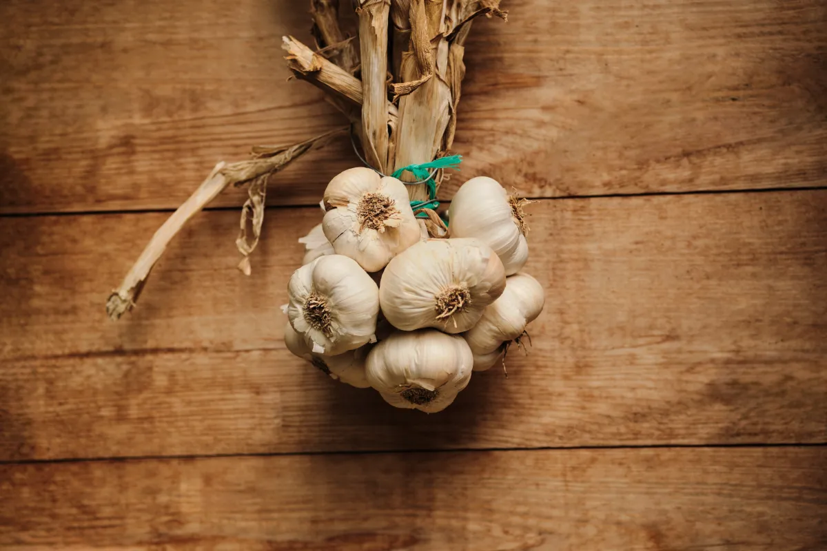 El ajo en la cocina mexicana