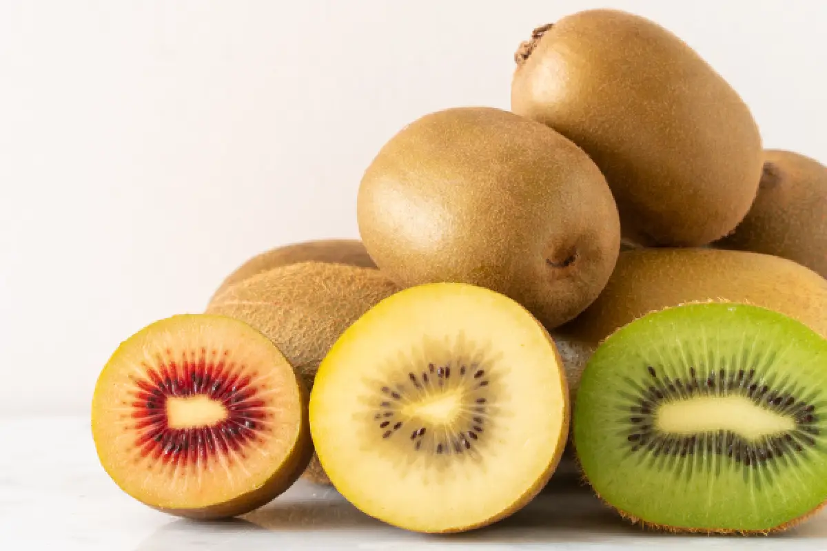 tipos de kiwis