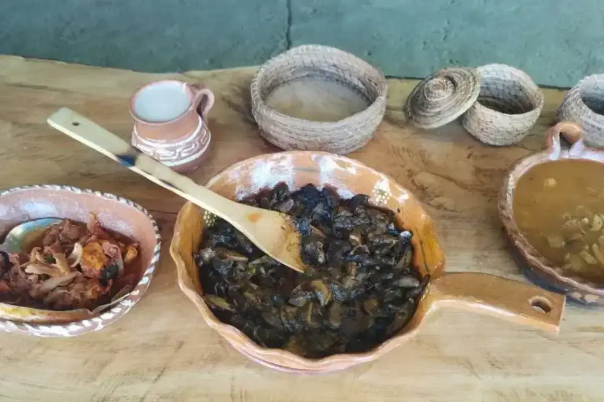 Platillos preparados con hongos silvestres 