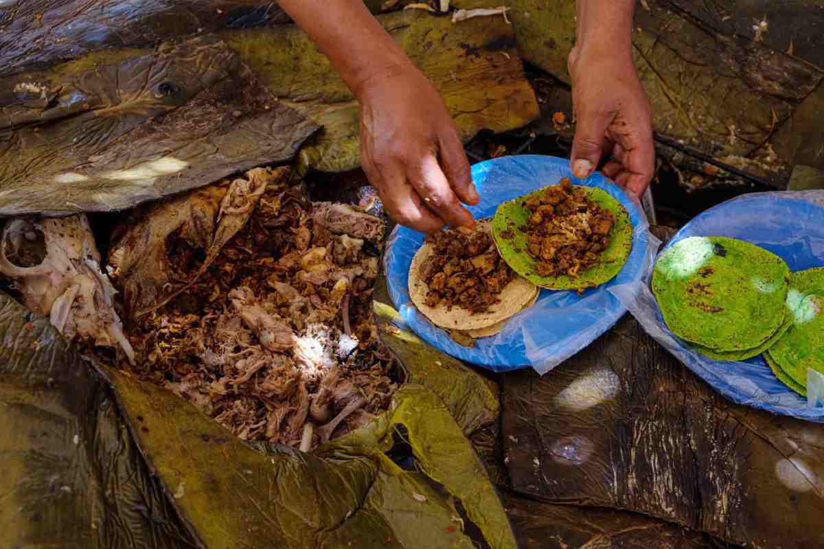 Barbacoa de borrego en penca de maguey y horno de tierra.