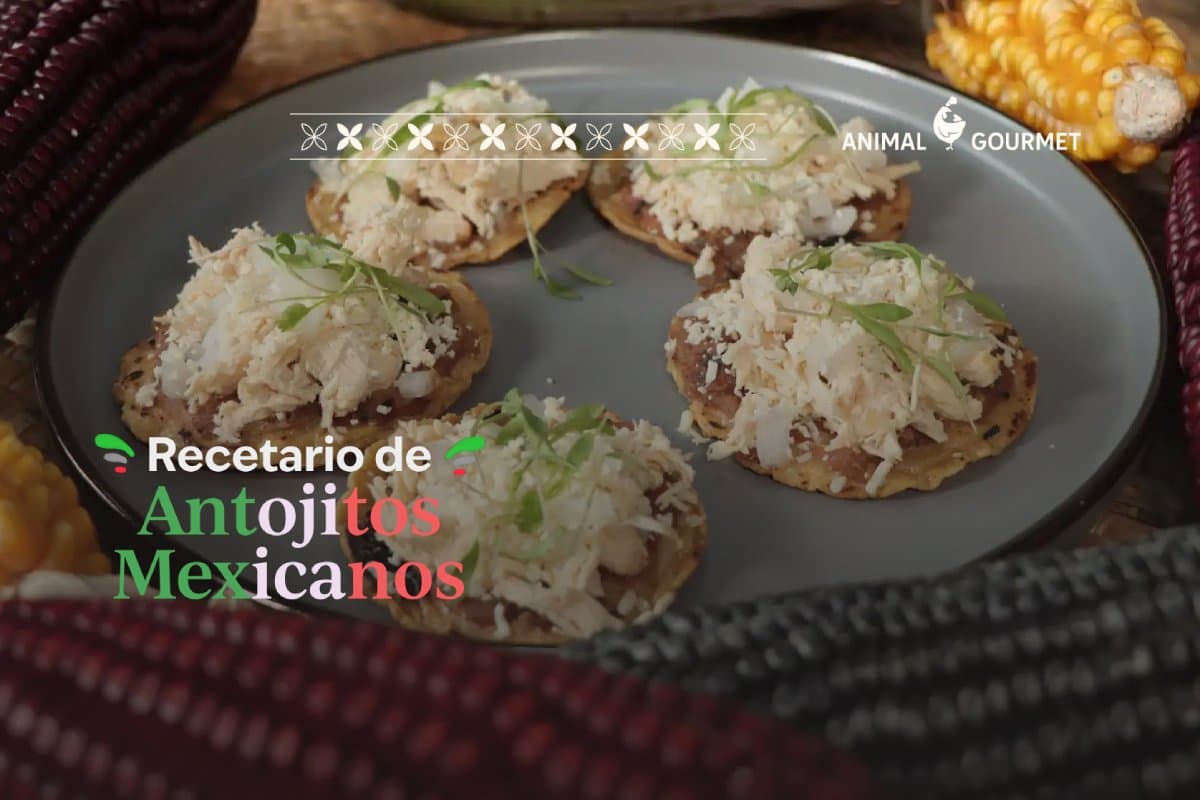 Charola de antojitos mexicanos rodeados de mazorcas de maíces de colores