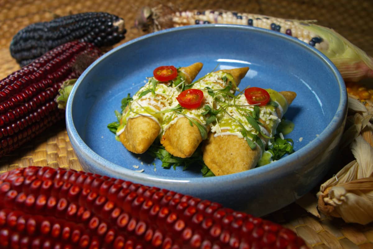 Quesadillas fritas, rellenas de flor de calabaza, rodeadas de mazorcas de maíz