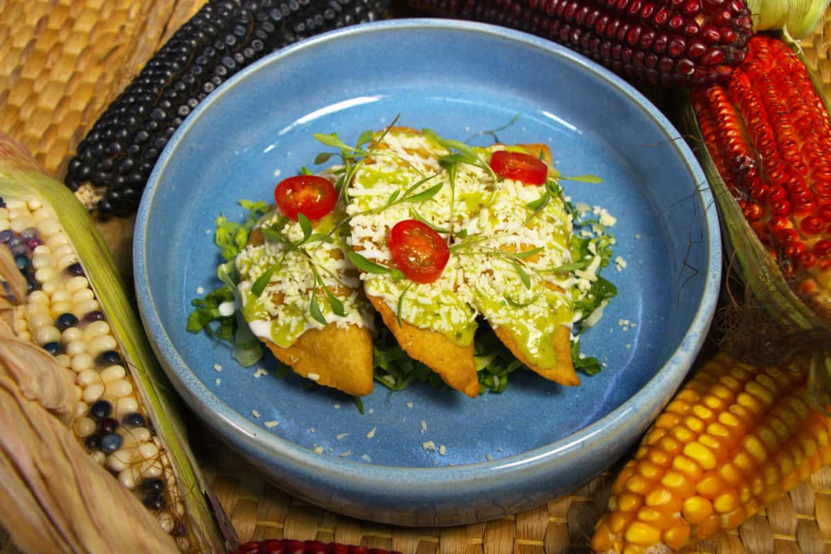 quesadillas fritas de flor de calabaza, preparadas y servidas en un plato
