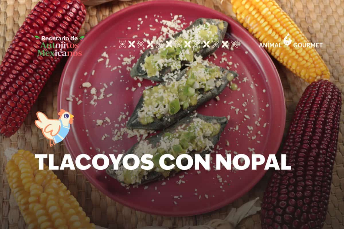 Tlacoyos de haba, servidos con ensalada de nopales