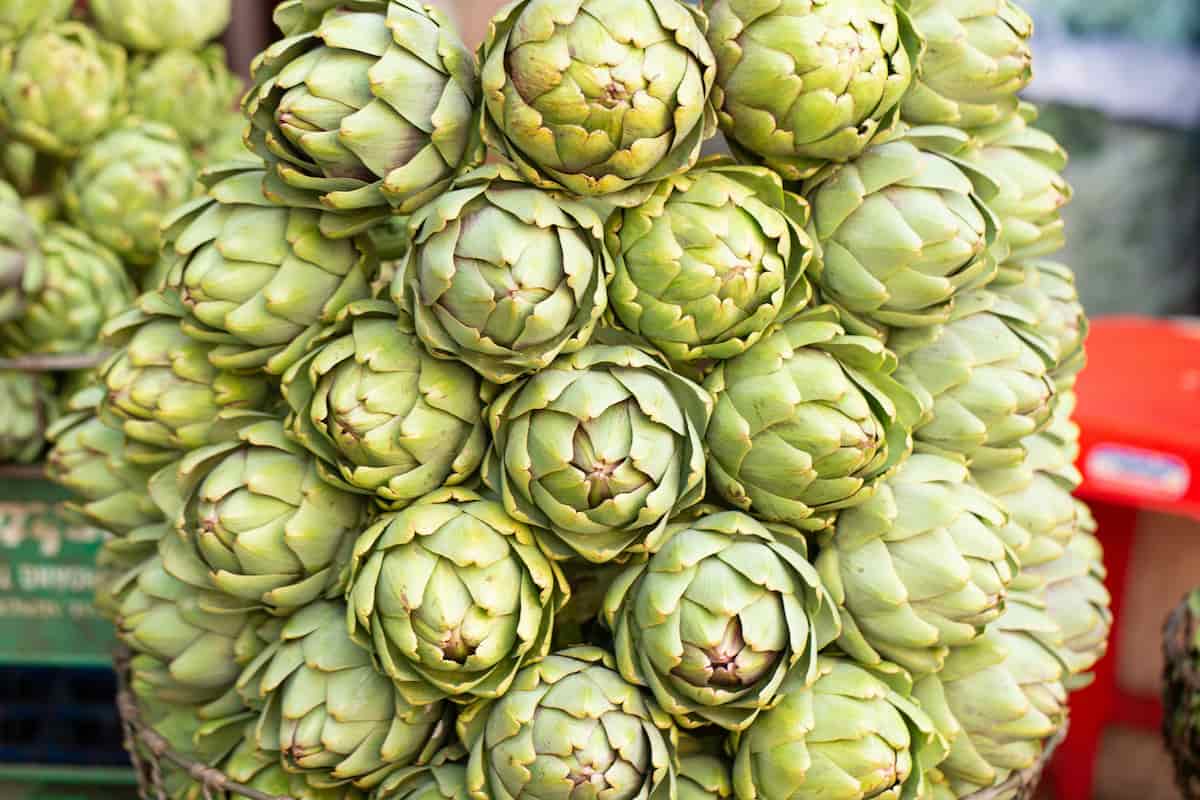 vegetales ricos en fibra