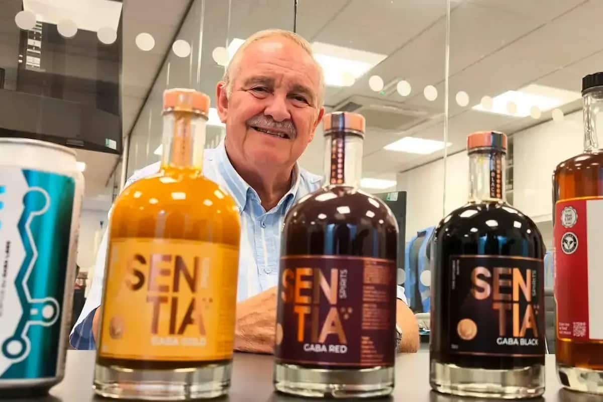 cerveza que no da resaca