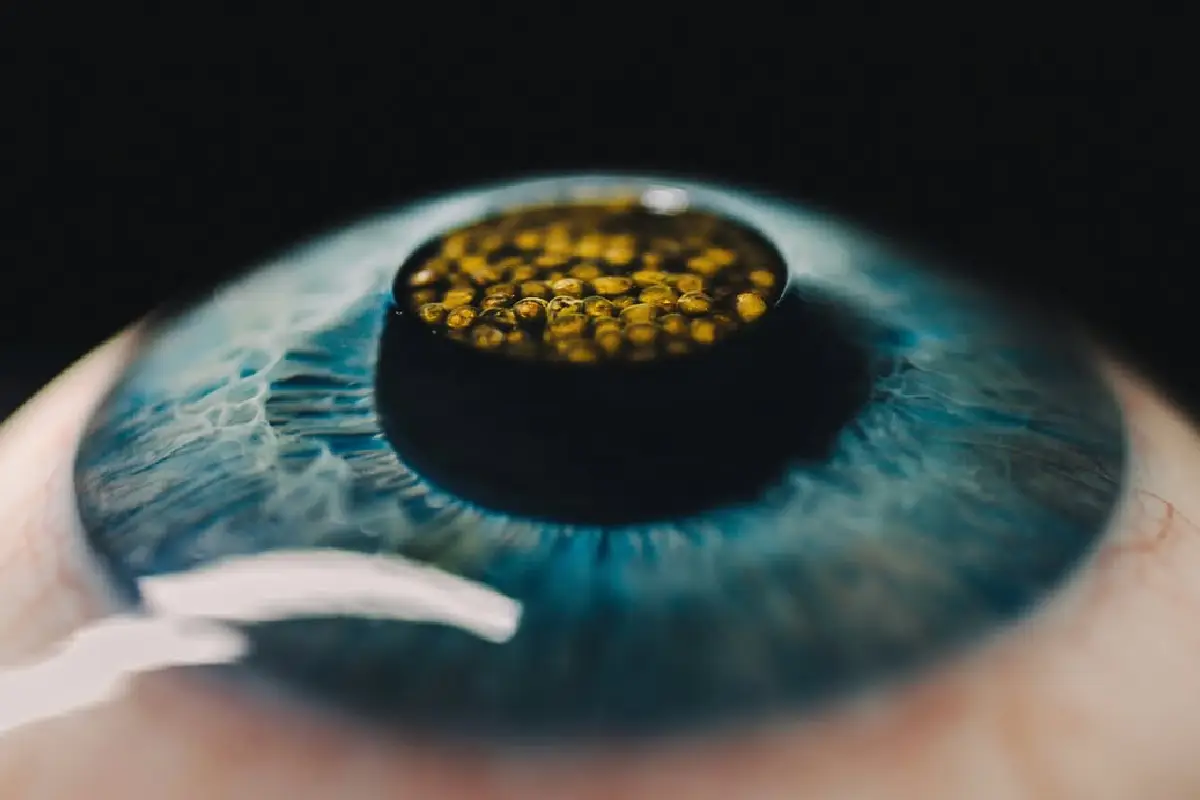 mejores restaurantes del mundo