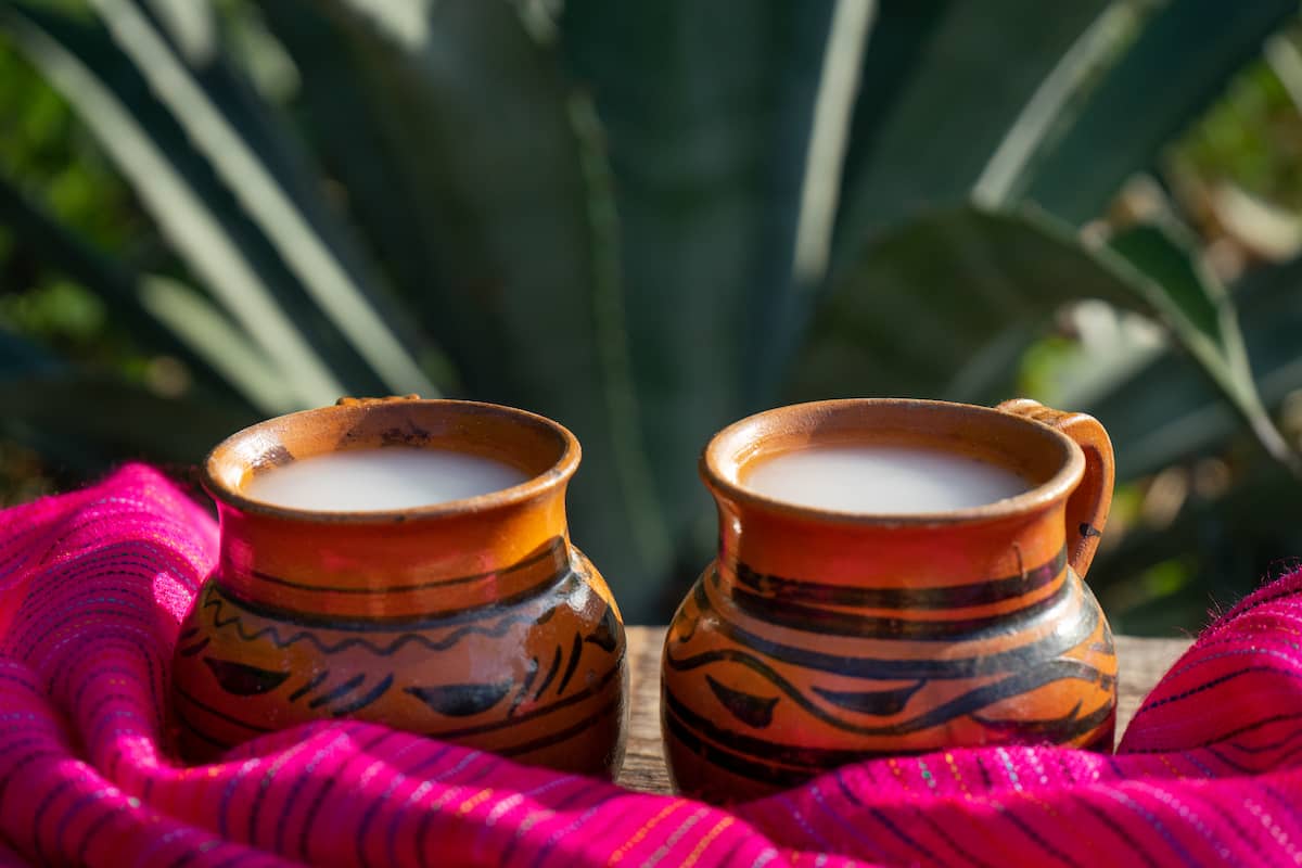 lugares para tomar pulque