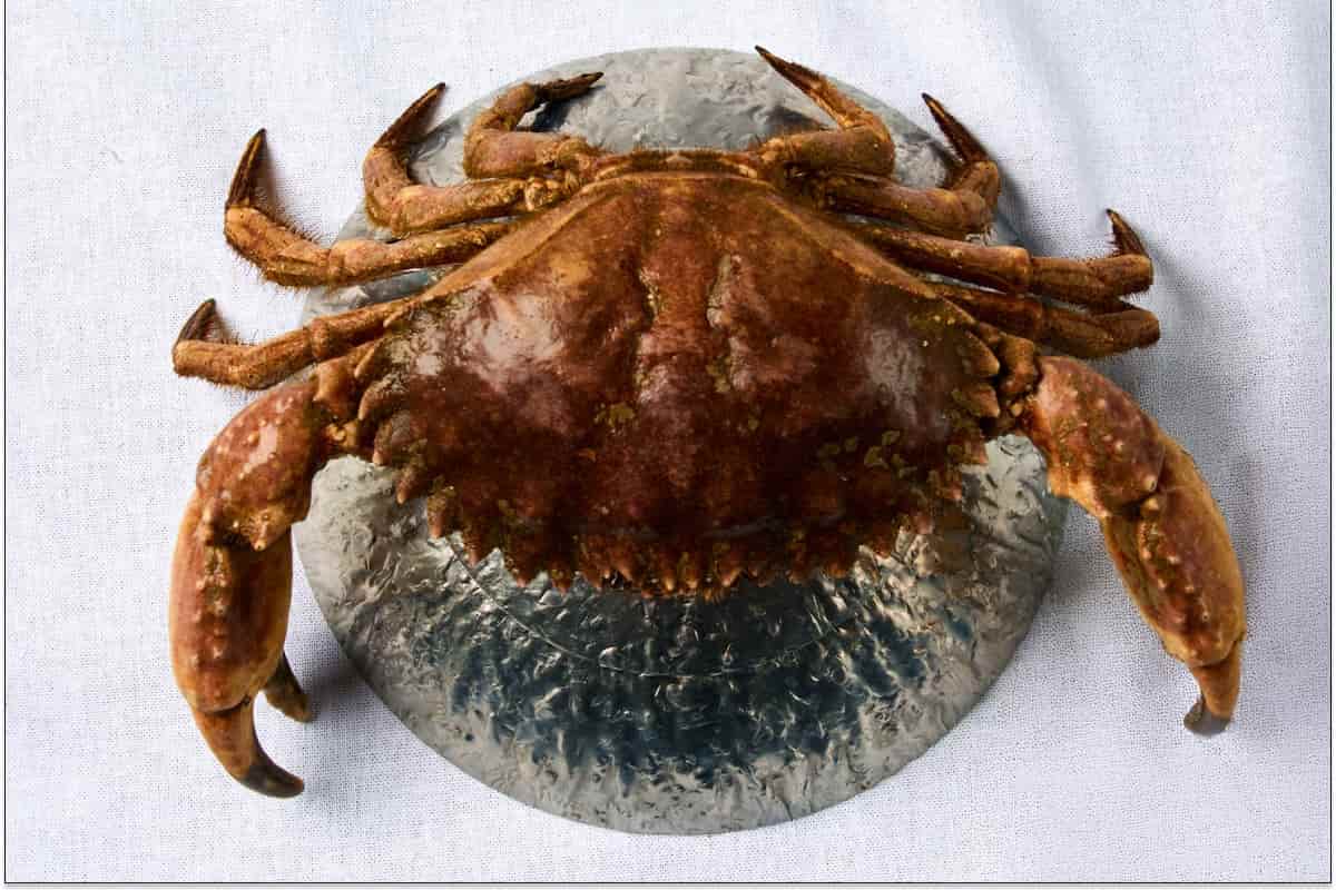 ingredientes gastronomía peruana
