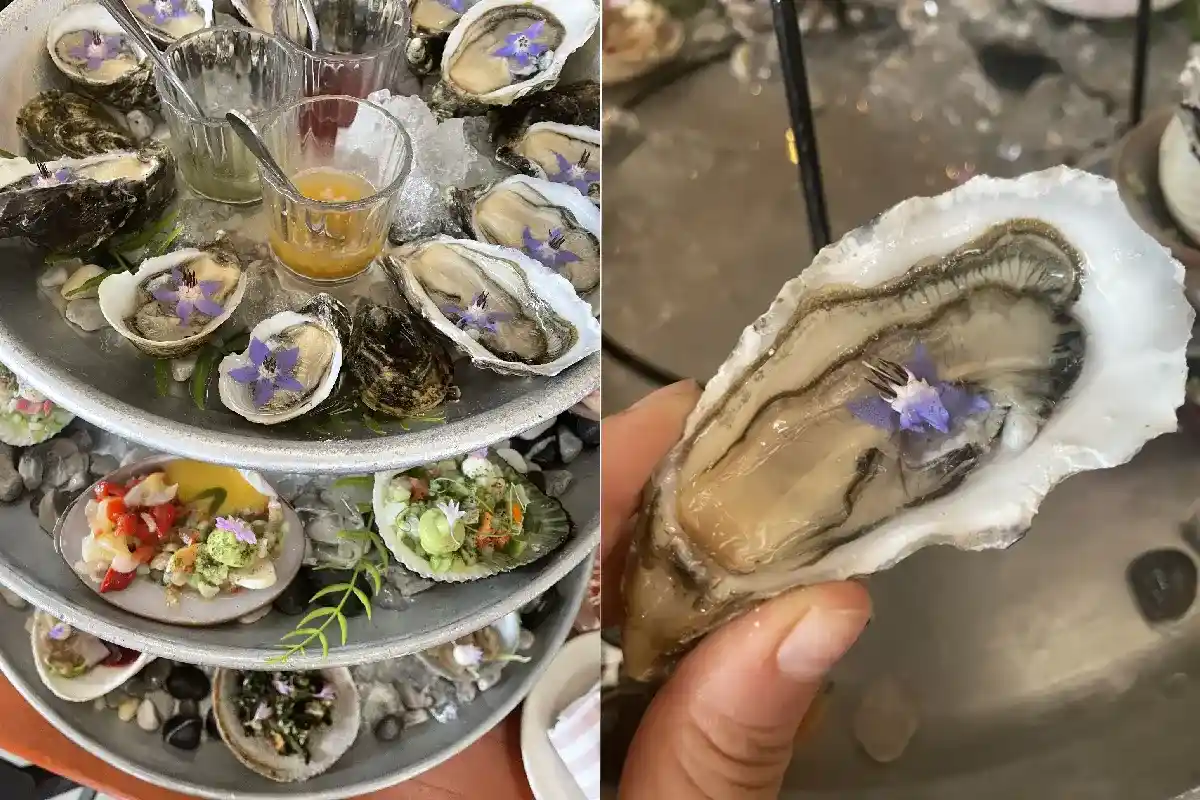 Plato de ostras de restaurante con estrella Michelin