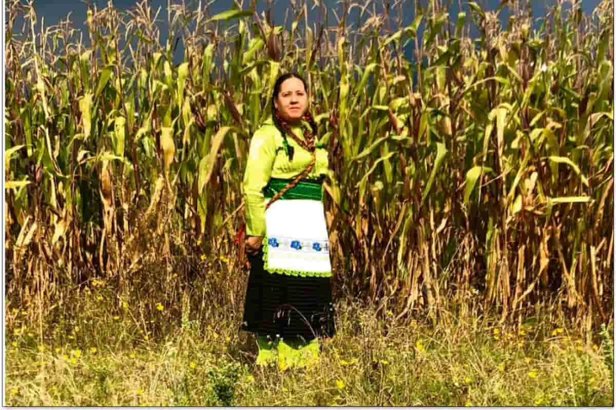 cocinera tradicional Estado de México