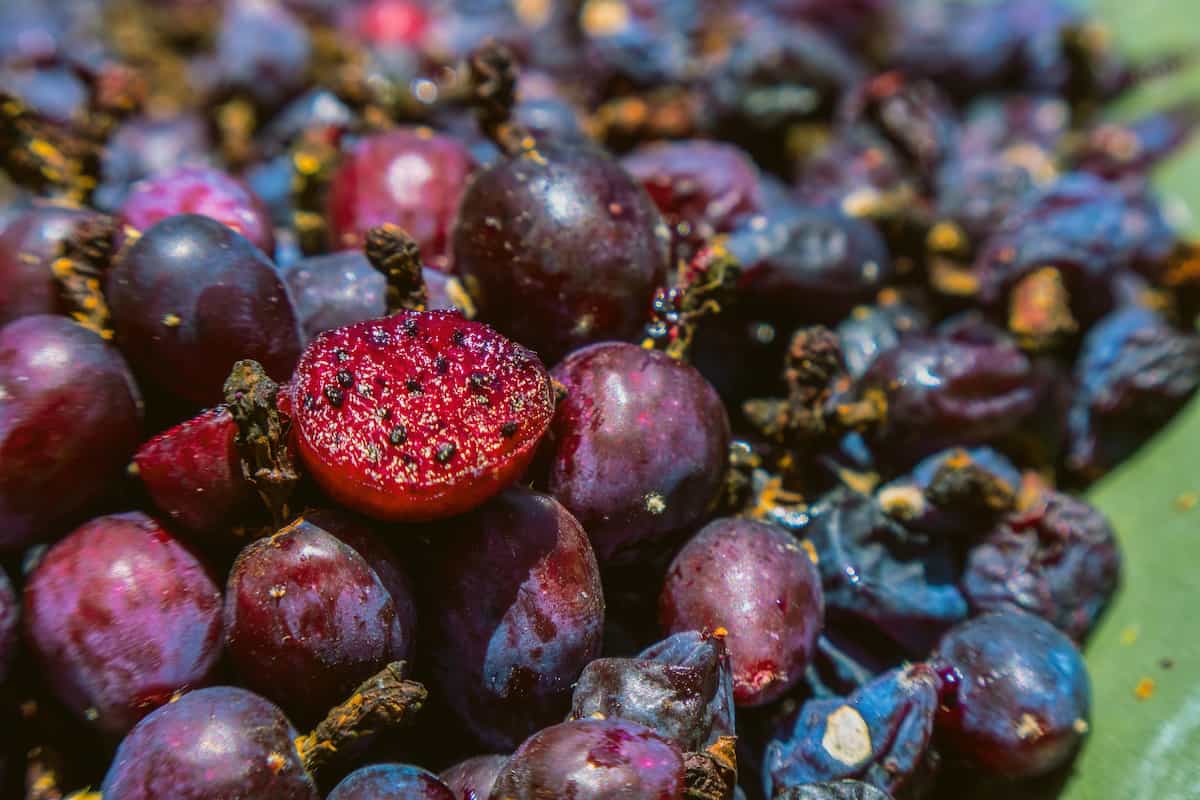 ingredientes cocina otomí