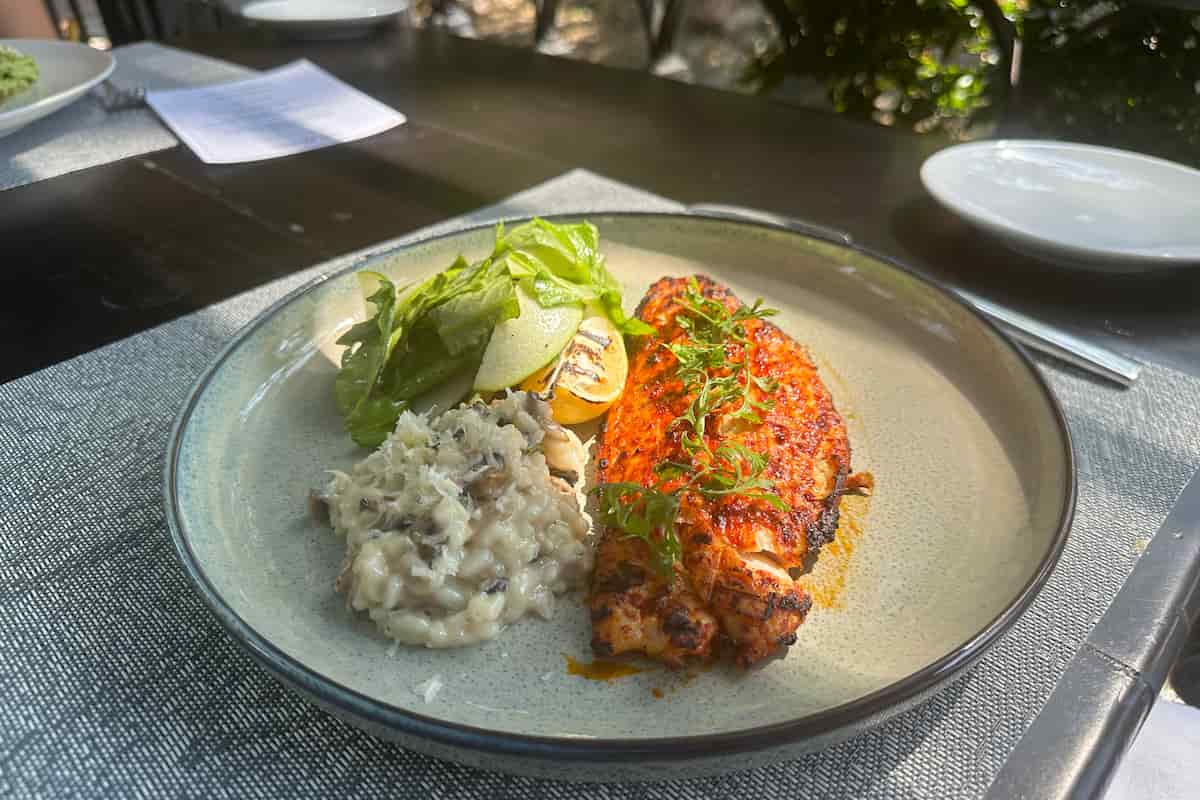 gastronomía Puerto Vallarta