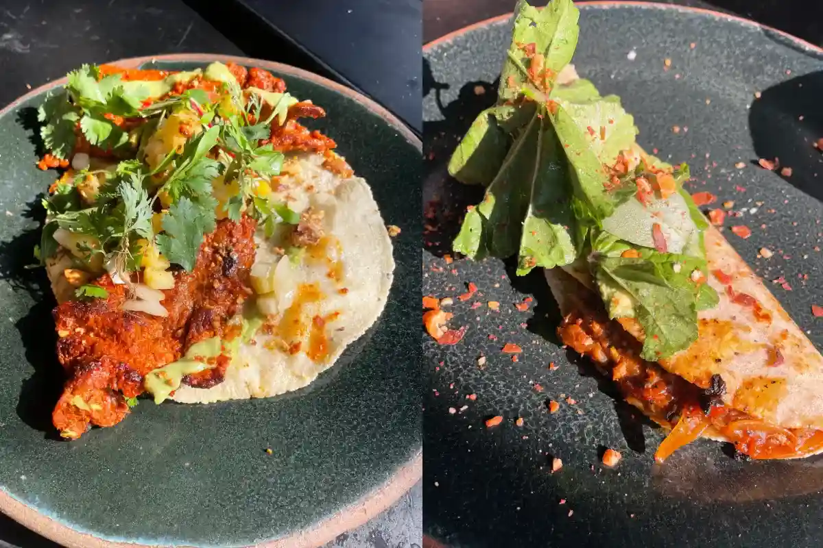 taco y quesadilla de expendio de maíz