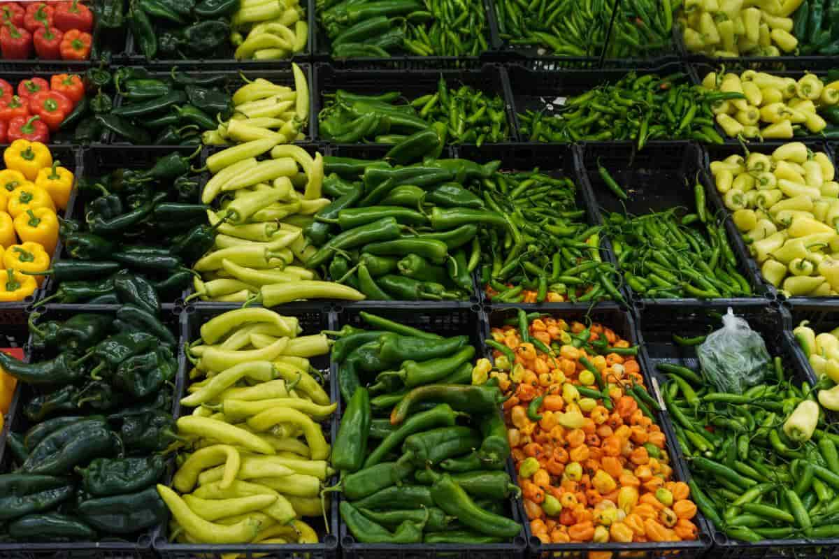 Mercado con diversidad de chiles