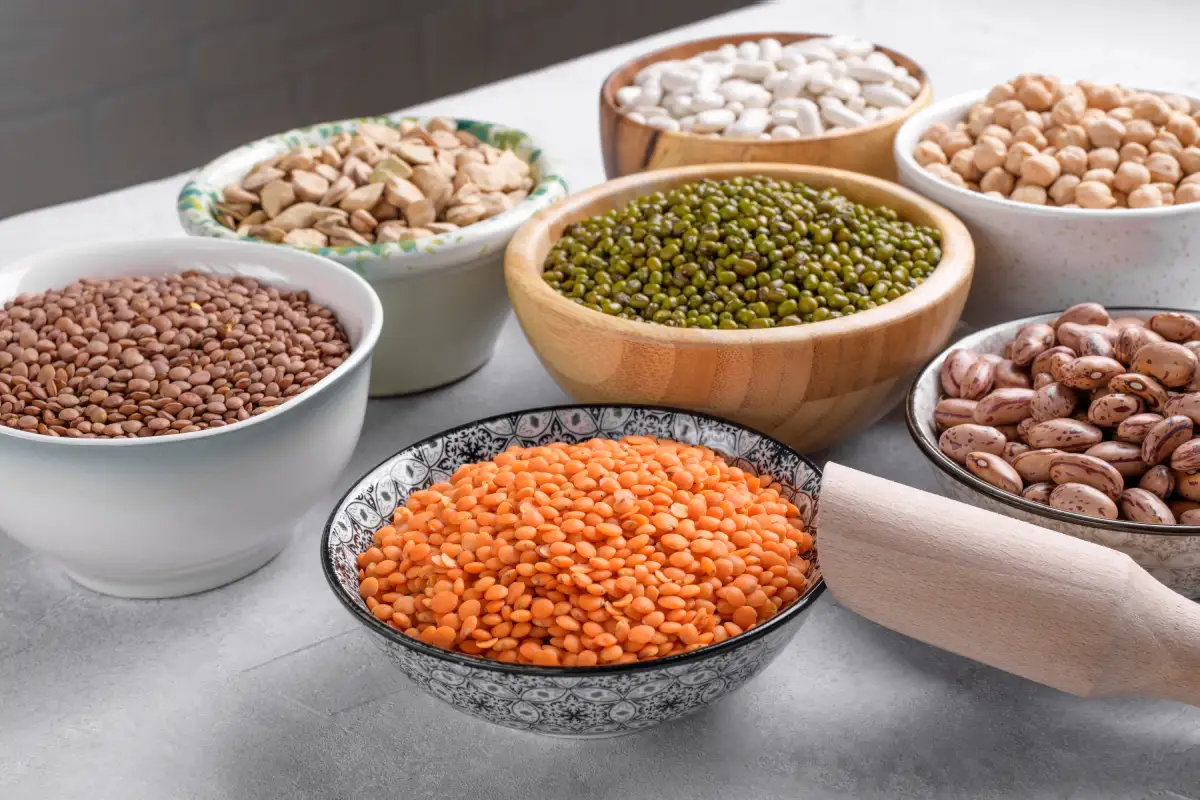 En varios platos están servidos varios tipos de legumbres desde arroz, guisantes, lentejas, alubias, habas, trigo sarraceno, chia, maíz y garbanzos.