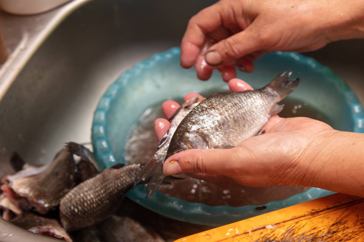 Limpieza de Mojarra para hacerse en papel aluminio. 