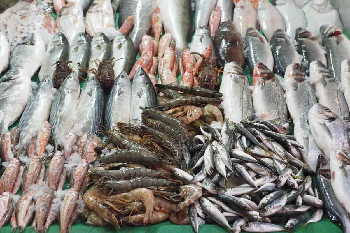 Comercio de pescados cuenta con variedad de camarones.
