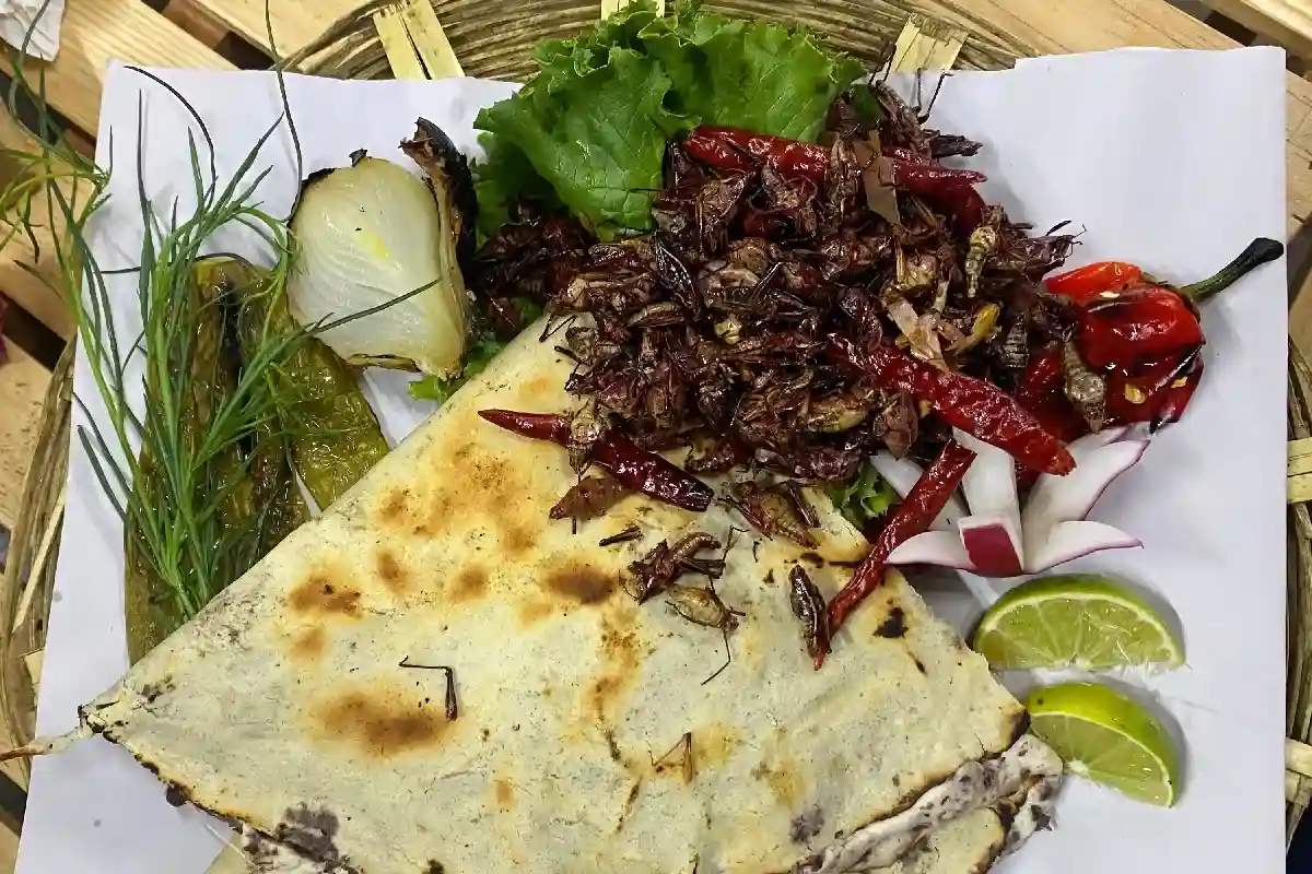 plato botanero con tlayuda oaxaqueña, chapulines