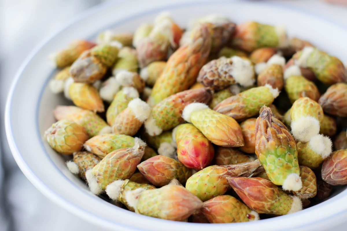 Acercamiento de un plato con cabuches