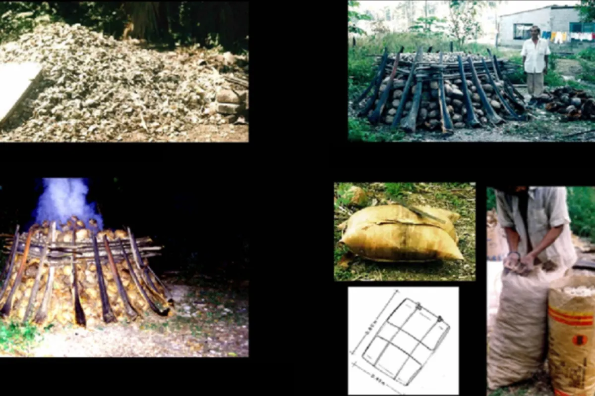 Collage de imágenes donde se ve el proceso de elaboración de la cal de ostión