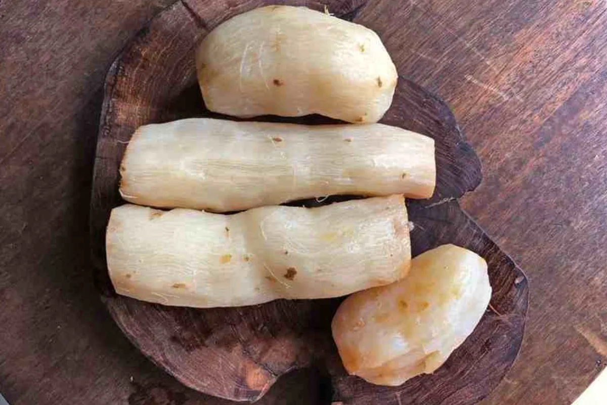 En una tabla de madera están colocadas cuatro chinchayotes cocidos.