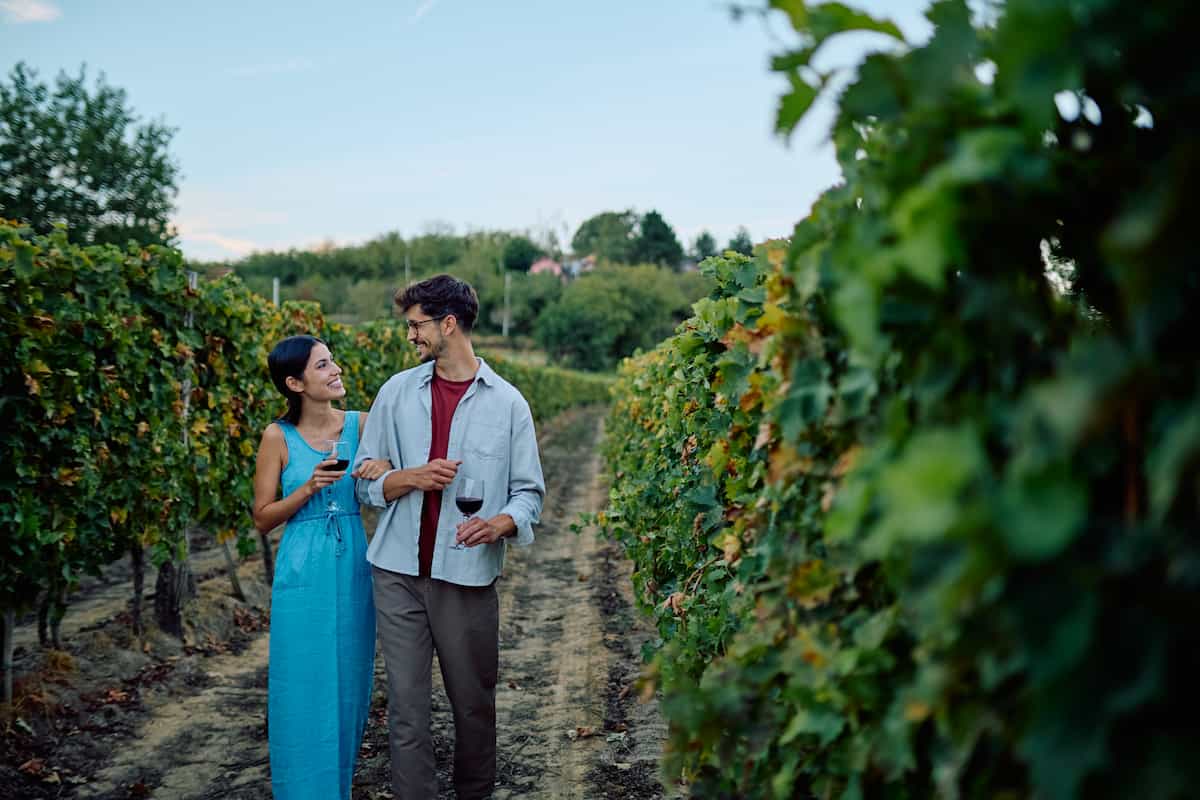 viñedo en México cita pareja